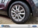 Mazda 3 bei Gebrauchtwagen.expert - Abbildung (4 / 15)